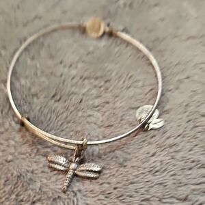 Alex And Ani Vintage Dragonfly Charm Bangle Bracelet